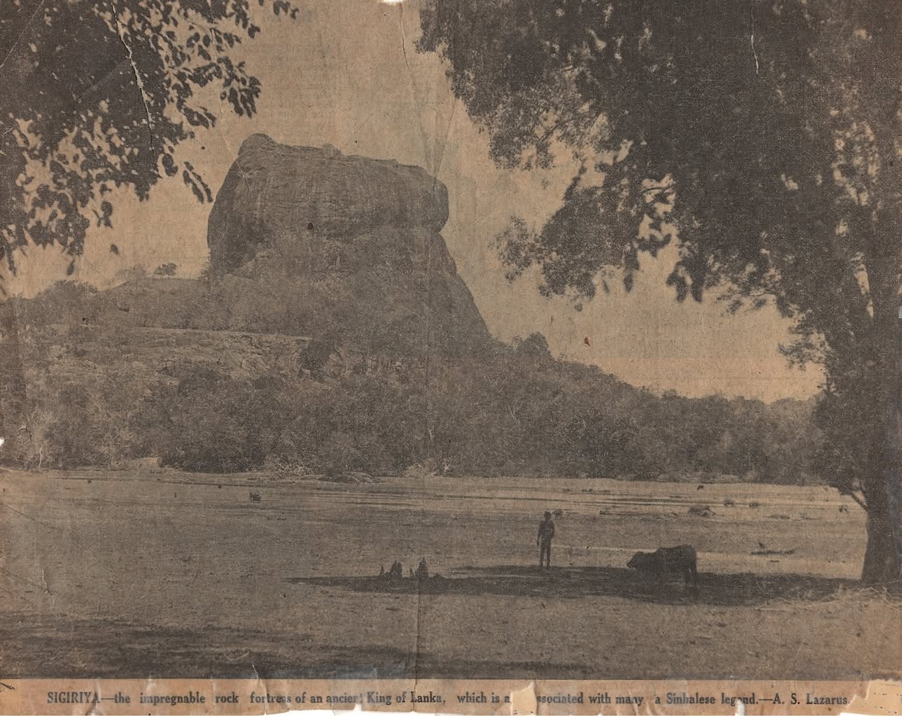 Sigiriya Rock Fortress — Sri Lanka travel guide — photo 2 Sigiriya Rock Fortress — Sri Lanka travel guide — photo 2